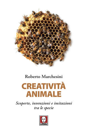 Creatività animale