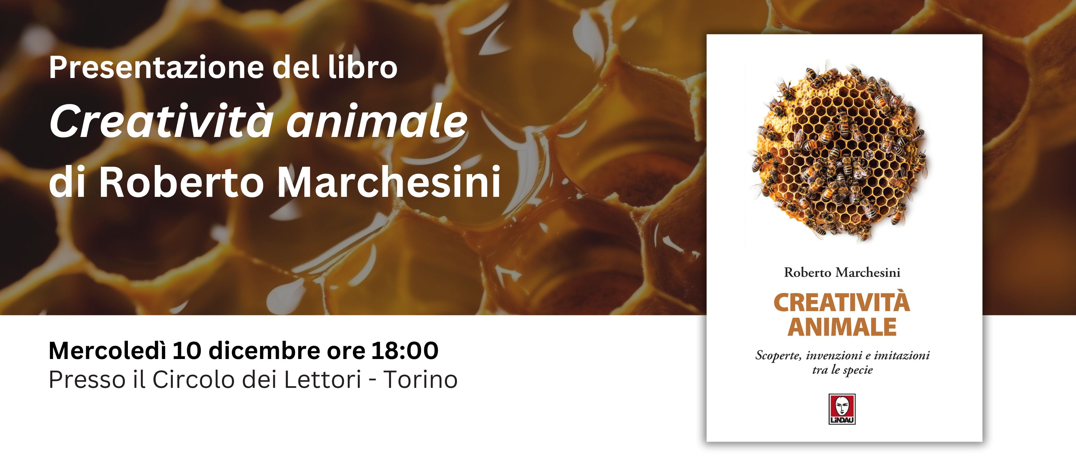 Banner sito presentazioni