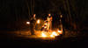Festa di Imbolc
