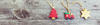 10 libri da regalare a Natale
