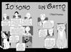 Io sono un gatto