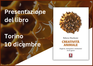 Creatività animale. Torino, 10 dicembre
